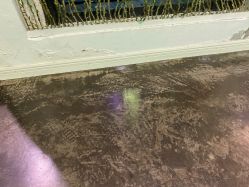 -恐龙探索乐园(磁器口店)