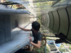 iphone_upload_pic-龙湾潭国家森林公园