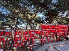 -香山公园