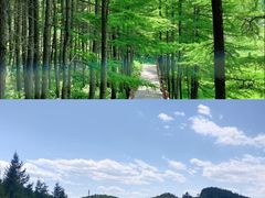 -驼梁风景区