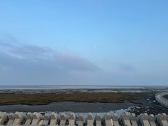 -南汇嘴观海公园