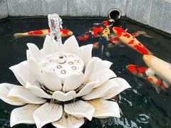 -西安市广仁寺