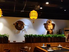 大堂-杨家火锅(国美店)