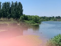 -马家湾湿地公园