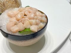 扇贝-红鼎豆捞·非遗鲍皇汤火锅(宝丰路店)