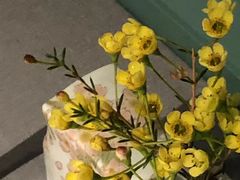 -南堂馆·新川菜(春熙路店)