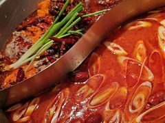 -袁老四重庆老火锅(桐梓坡店)