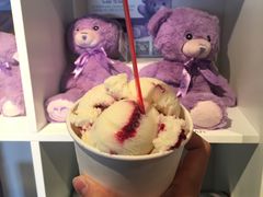 Boysenberry-Kate's Berry Farm