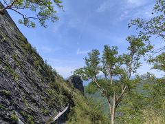 -朱雀国家森林公园