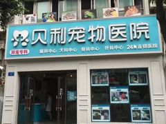 -贝利宠物医院·骨科·眼科·肿瘤转诊中心(南坪诊疗中心)