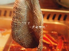 -九鼎轩脆毛肚火锅(三钢里店)