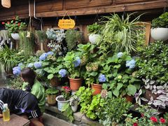 -龙姐私房菜(和顺古镇店)