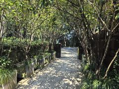 -野蔓果·山野菜(西湖景区·龙井茶田店)