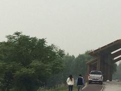 iphone_upload_pic-九里河湿地公园