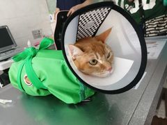 -荔康动物医院(康王北路店)