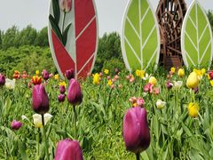 -长春公园(普阳街道)