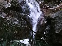 -火炉山森林公园