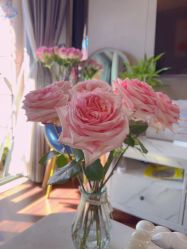 -哈颜科技轻美·