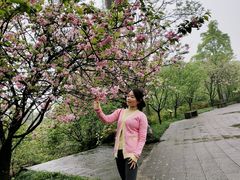 -南山植物园