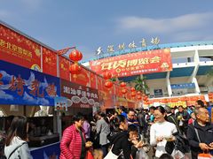 -深圳市体育中心体育馆主馆