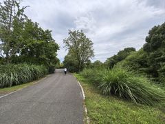 -梁鸿国家湿地公园