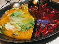 -朱光玉火锅馆(正弘城店)