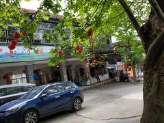 -凤栖山