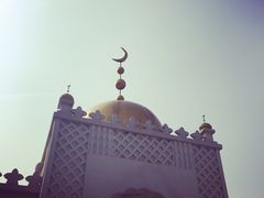 -武清南湖绿博园