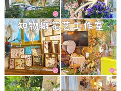 -知物癖(牛王庙店)