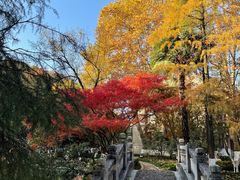 -安徽大学(磬苑校区)