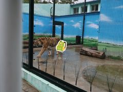 -保定市动物园