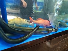 -德米火锅(深圳湾1号旗舰店)