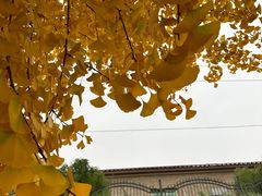 -红螺寺