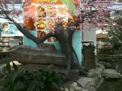 -森谷美食公园(杨行店)