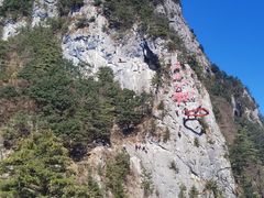-秦岭天竺山生态文化旅游景区