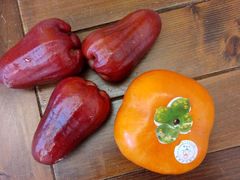 莲雾和脆柿子-垦丁大街