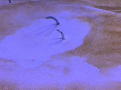 -厦门海底世界
