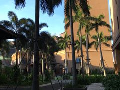 -三亚湾红树林度假世界(木棉酒店)