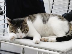 -UNI UNI(环亚凯瑟琳店)