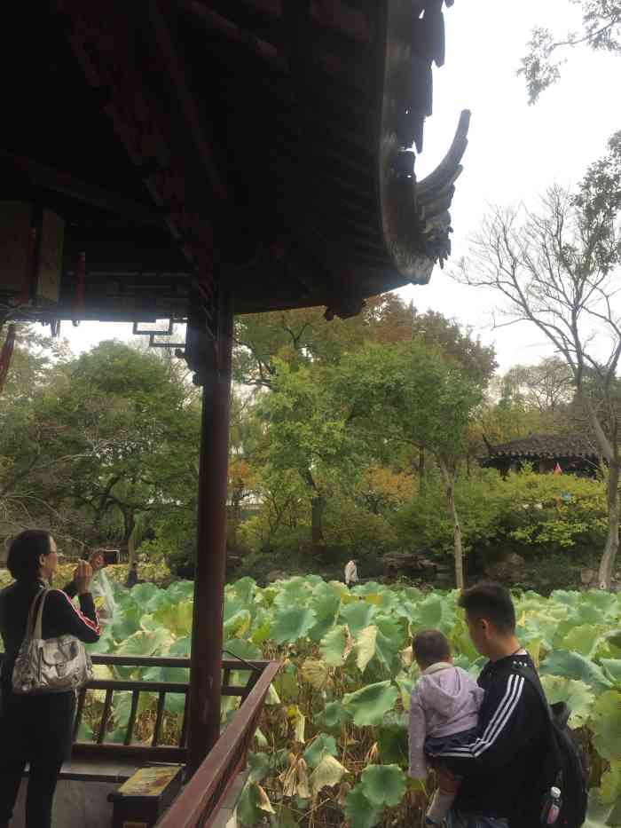 放眼亭-"拙政园东部假山上的矩形景亭.其位置在涵青."-大众点评移动版