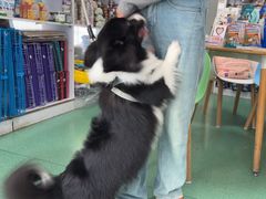 -东方动物医院·宠保定点·骨科·转诊中心(春城路·昆明站分院)