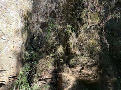 -怀托摩萤火虫洞