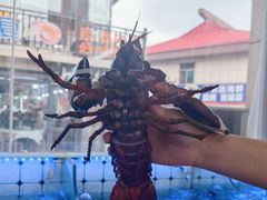 -日照大牌檔•小船海鲜(万平口店)