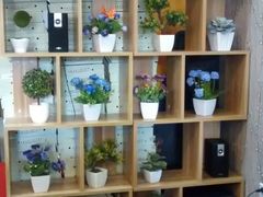 -尚尊比萨(体育路店)