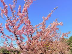 -新江湾城公园