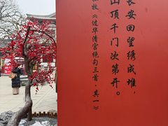 -华清宫景区