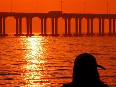 -宝安西湾红树林湿地公园