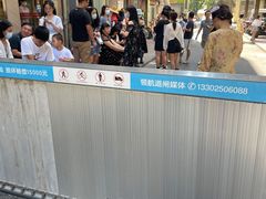 -巫记鸡饭店