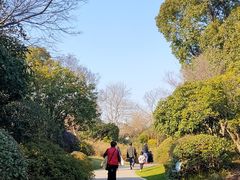 -桃花岛景观公园