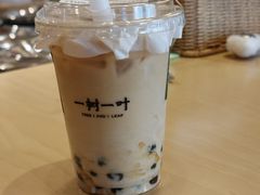 -一树一叶·福建茶档(石鼓路店)